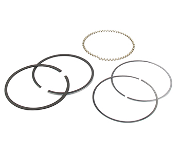 Segments 130087001