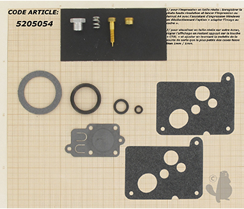 Kit réparation carburateurs 4 temps 5205054