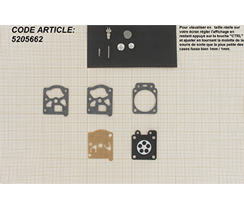 Pièces pour carburateurs 5205662