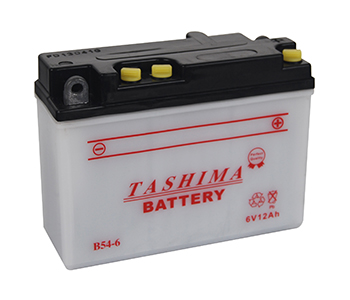 Batteries et piles 6N12A2C