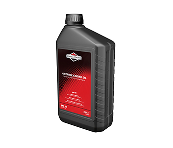 Briggs & stratton BS100008E