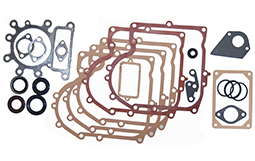 Briggs & stratton BS495993