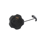 Briggs & stratton BS596206