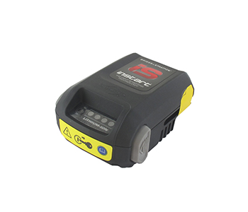 Briggs & stratton BS597189