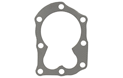 Briggs & stratton BS698717