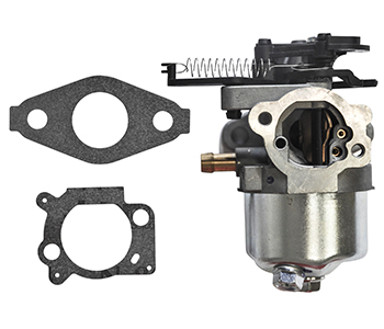 Briggs & stratton BS793493