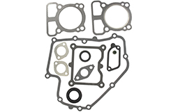 Briggs & stratton BS793623