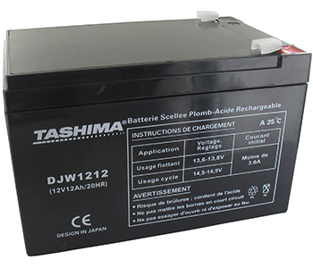 Batteries et piles DJW1212