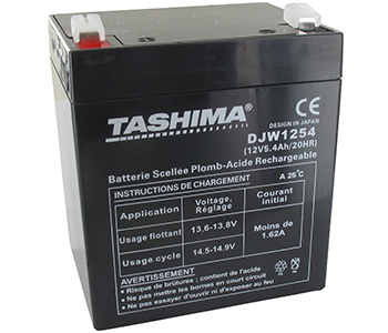 Batteries et piles DJW1254