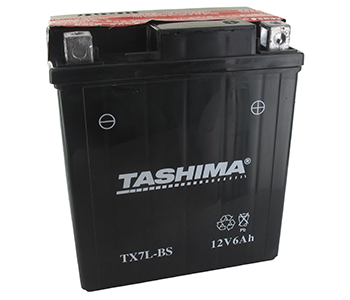Batteries et piles FTX7LBS