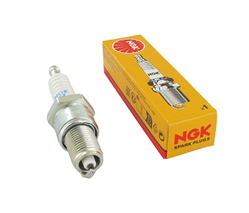 Bougies NGBPR4ES