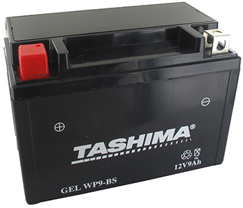 Batteries et piles WP9BS