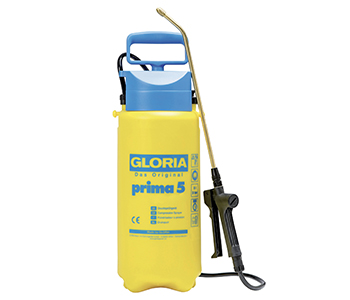 Gloria XGL81