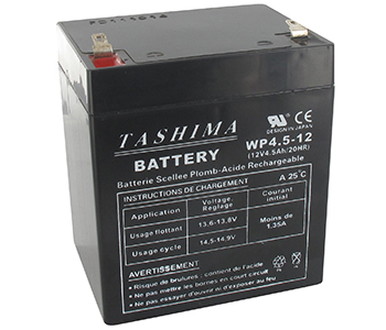 Batteries et piles WP4512
